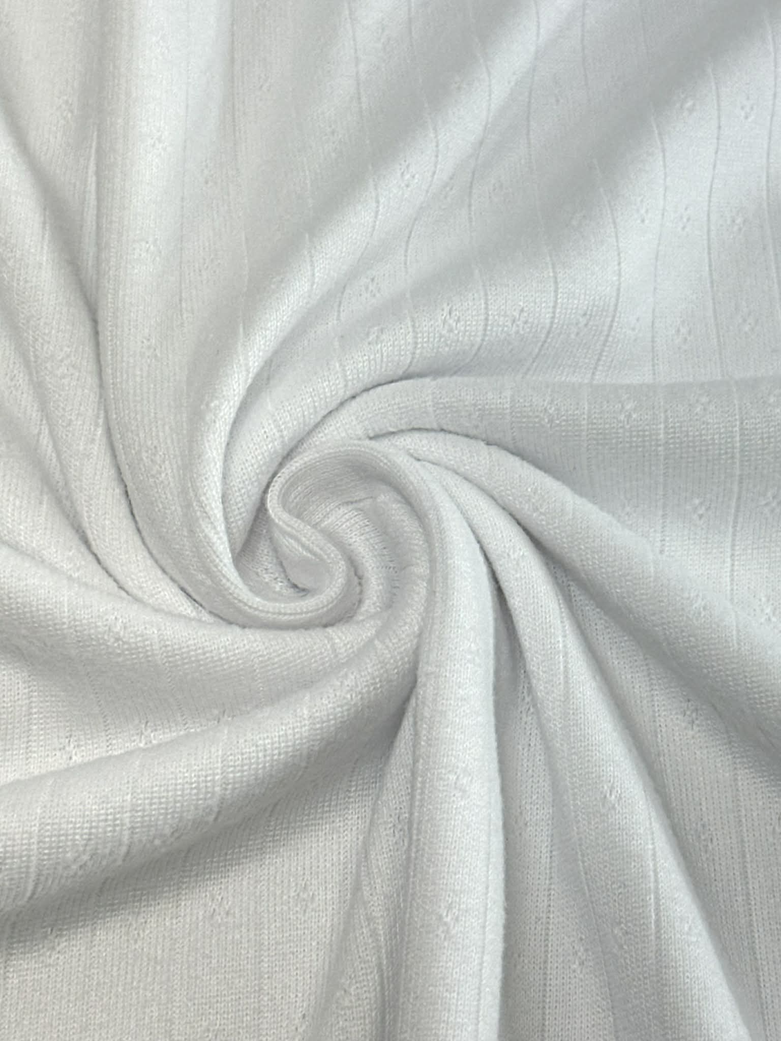 (POINTELLE RIB) WHITE