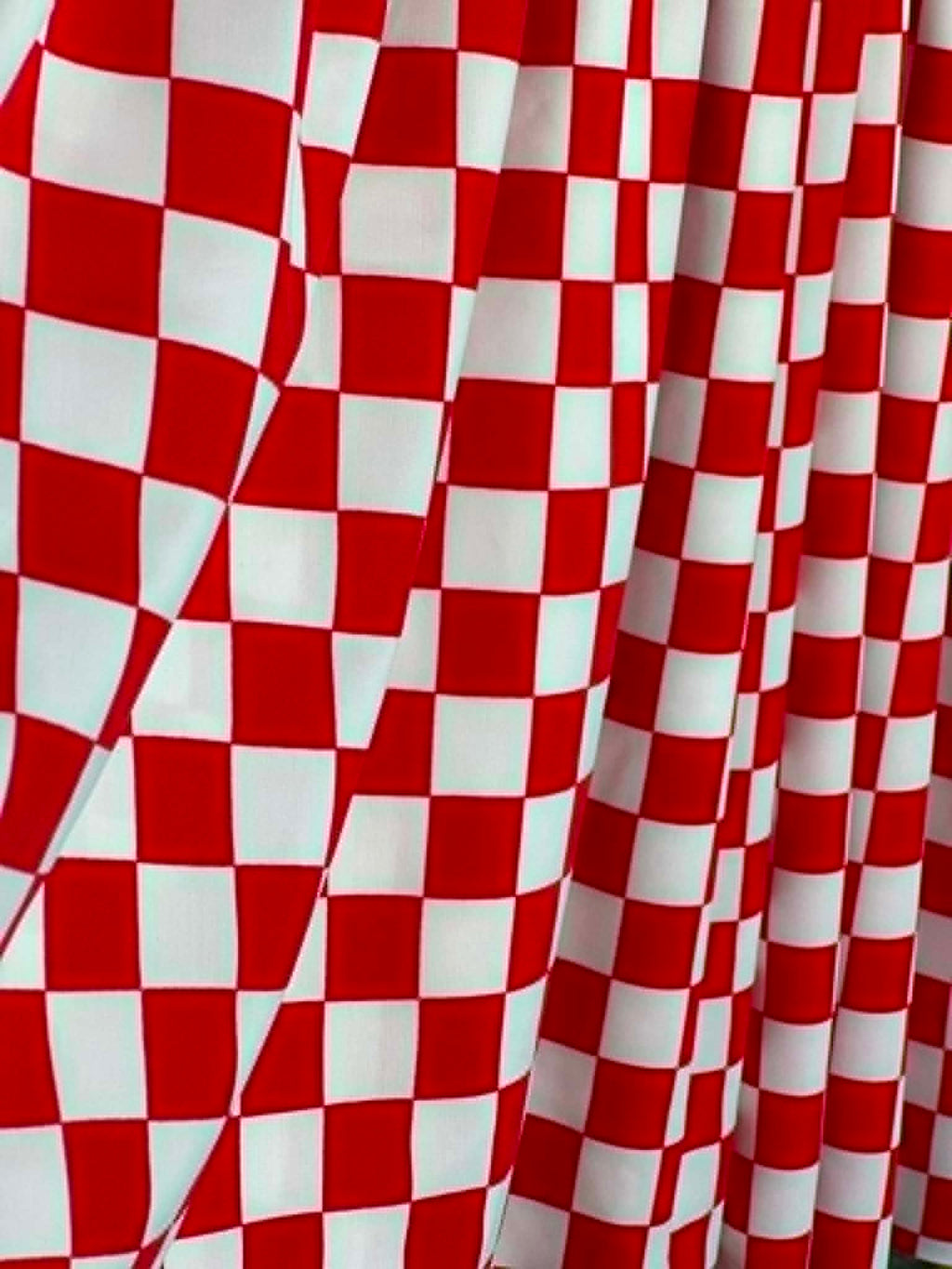 (SWIM) RED AND OFF WHITE CHECKERED
