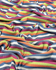 (SWEATER RIB) FALL STRIPES