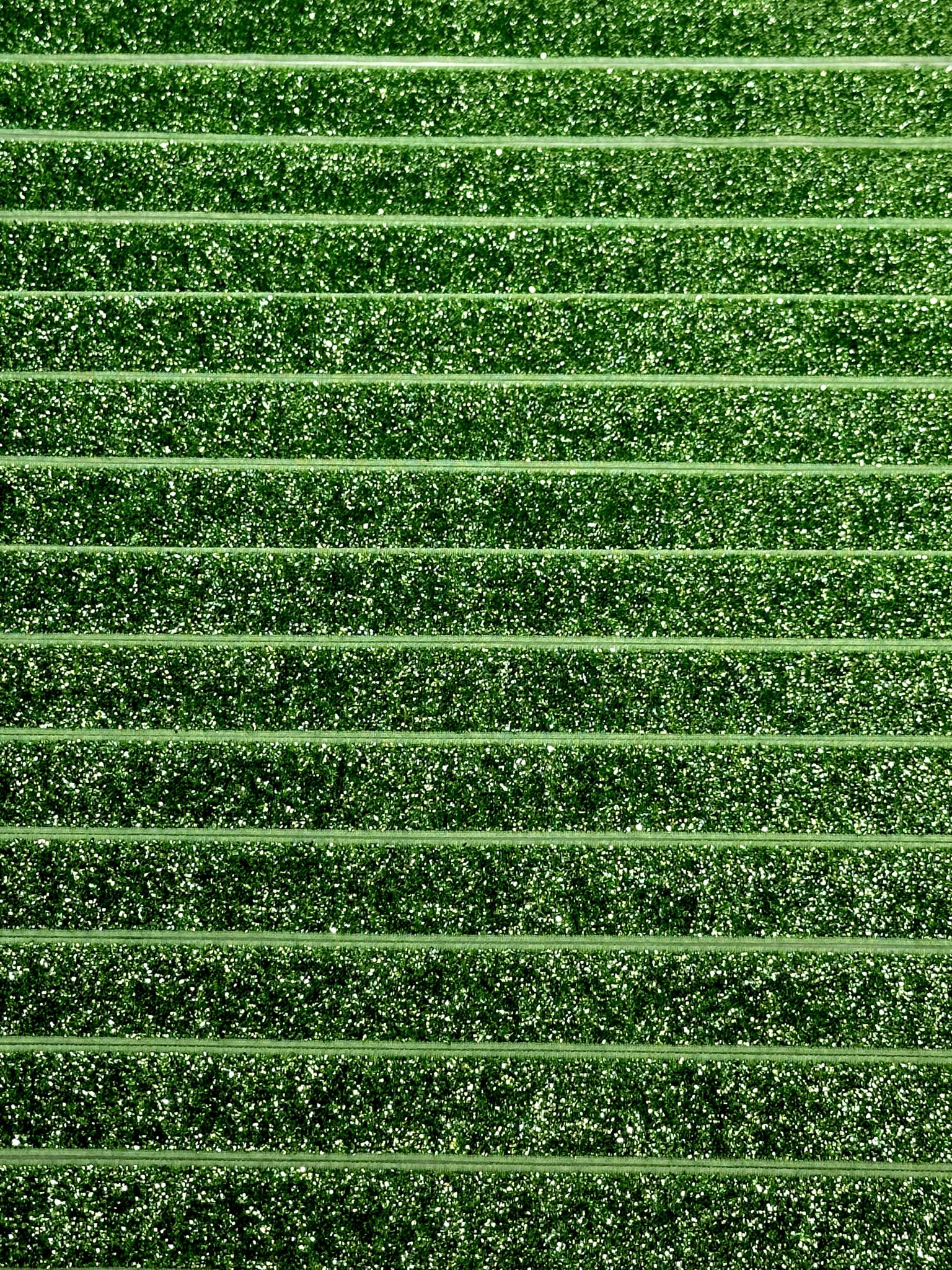 (TRIM) 5/8 ELASTIC GREEN SHIMMER