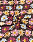 (DBP) TRI-COLOR DAISIES ON DARK BROWN