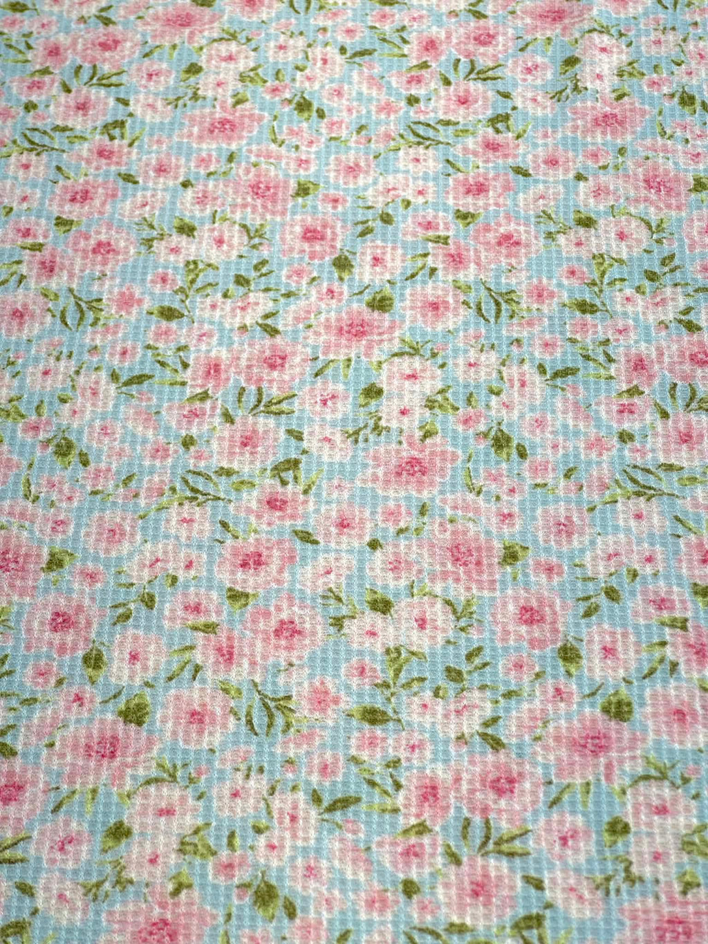 (THERMAL) TINY PINK FLOWERS ON SKY BLUE(4)