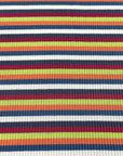 (SWEATER RIB) FALL STRIPES