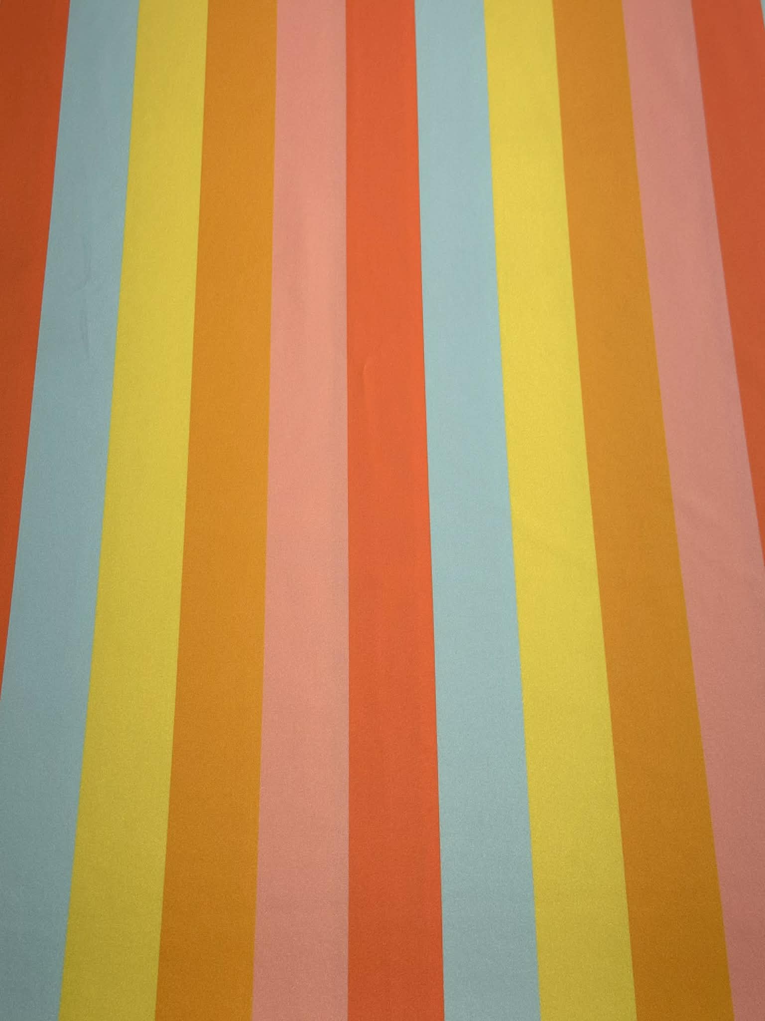 (SWIM) MULTICOLOR STRIPES