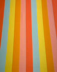 (SWIM) MULTICOLOR STRIPES