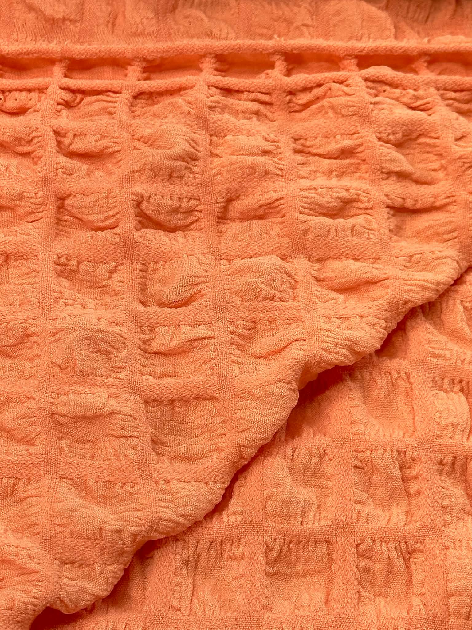 (POPCORN/ BUBBLE) SALMON