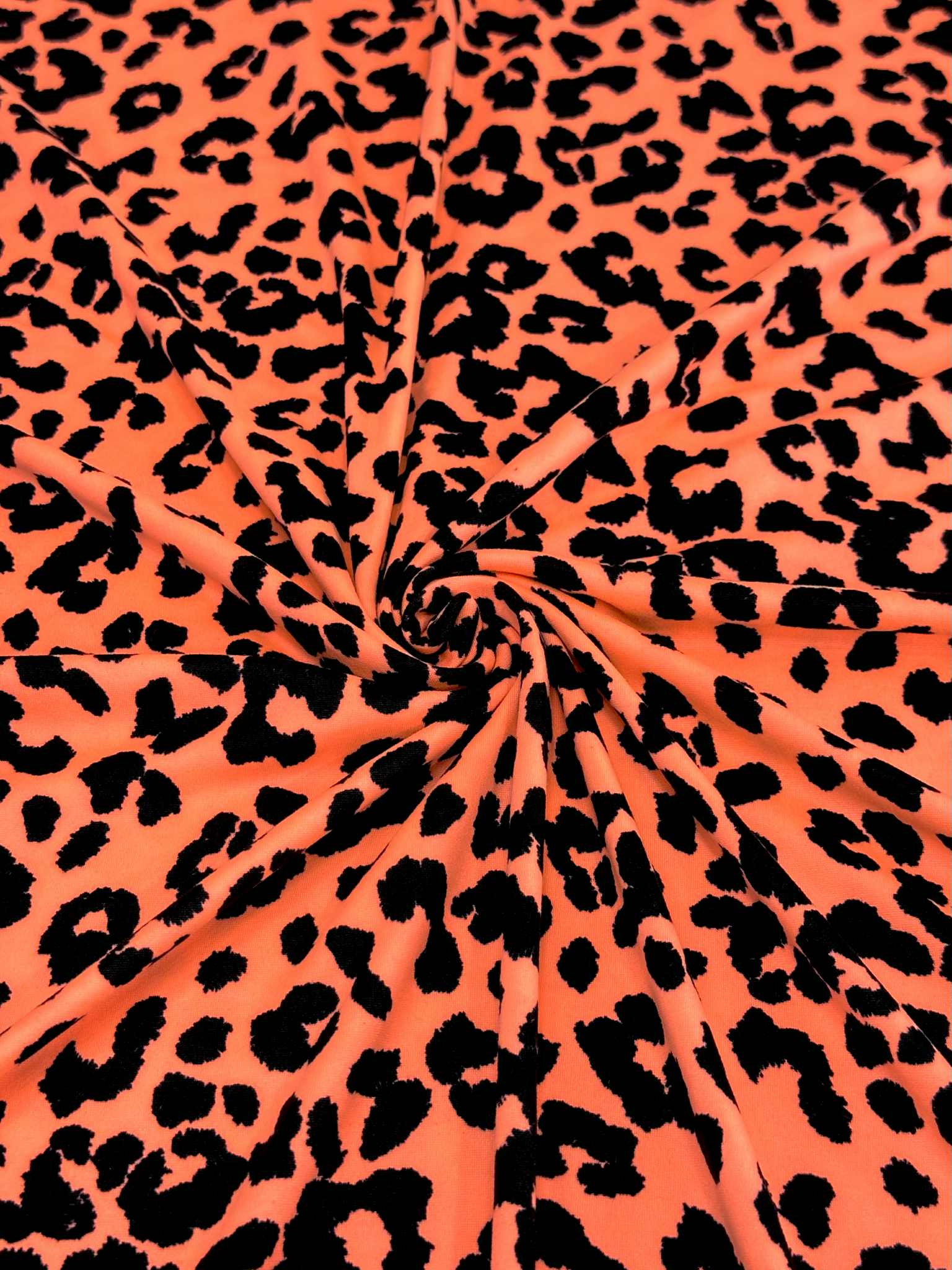 (DBP) BLACK LEOPARD ON BRIGHT ORANGE