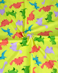 (YUMMY RIB) DINOSAURS ON YELLOW