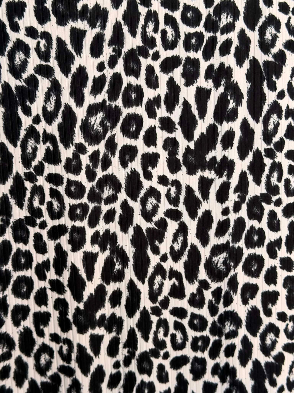 (WIDE YUMMY RIB) BLACK AND IVORY LEOPARD