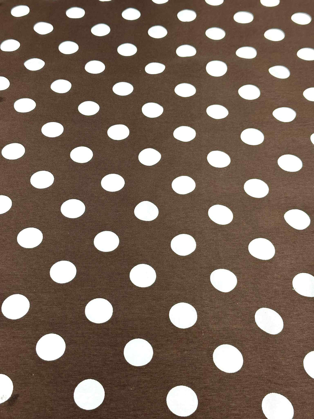 (COTTON SPANDEX) OFF WHITE POLKA DOTS ON BROWN