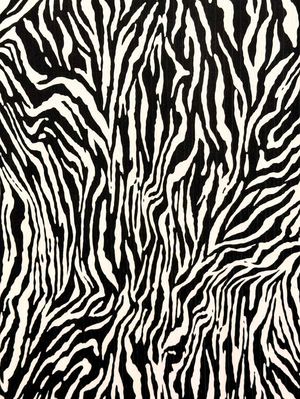 (POINTELLE RIB) SMALL BLACK ZEBRA ON OFF WHITE