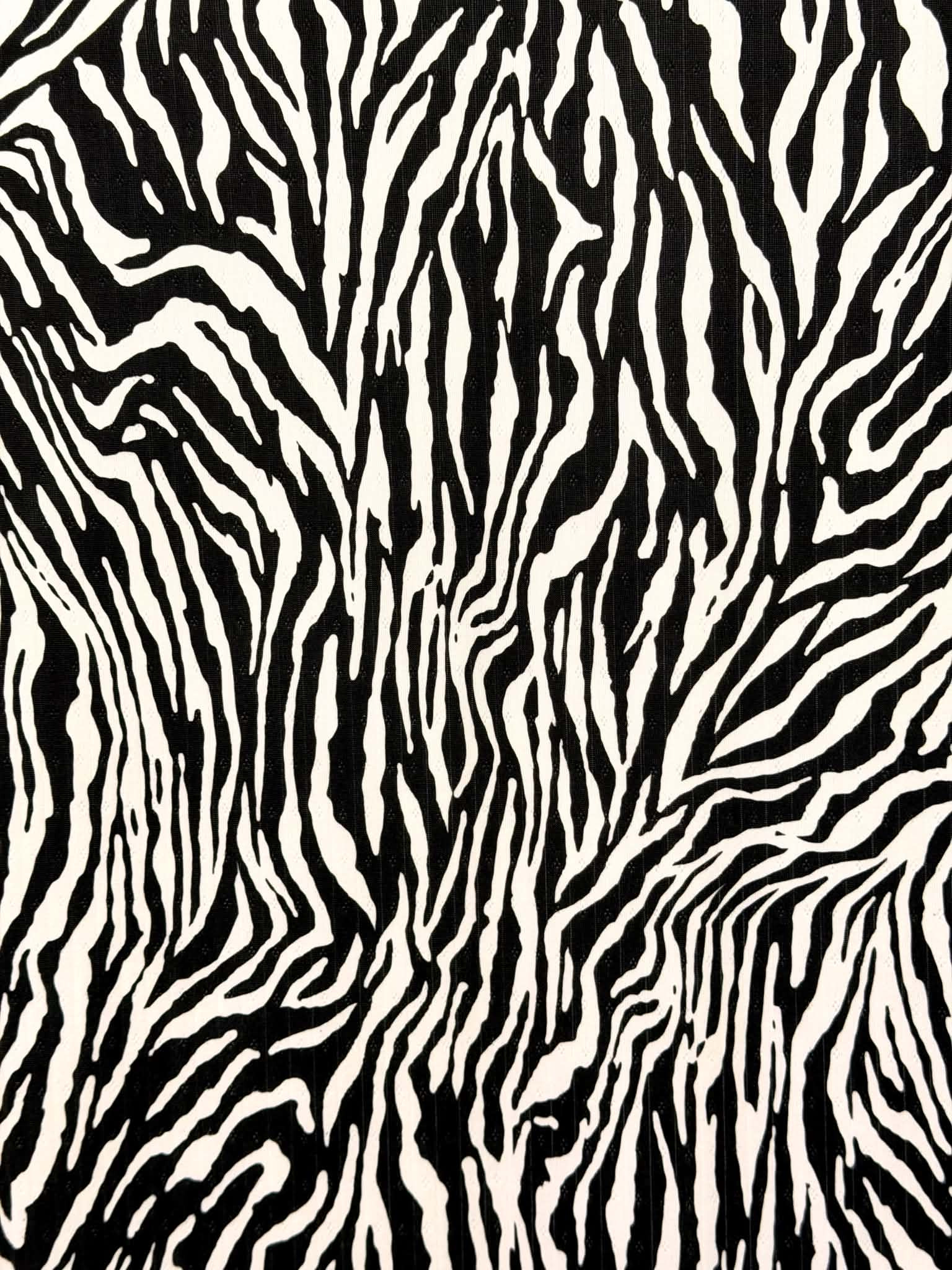 (POINTELLE RIB) SMALL BLACK ZEBRA ON OFF WHITE