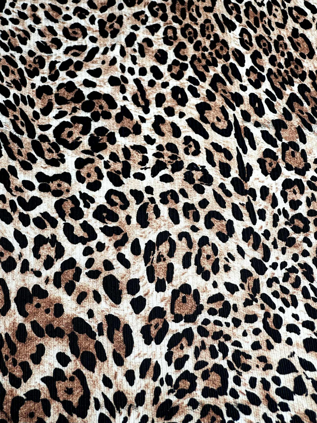 (4x2 YUMMY RIB) BROWN CHEETAH ON IVORY