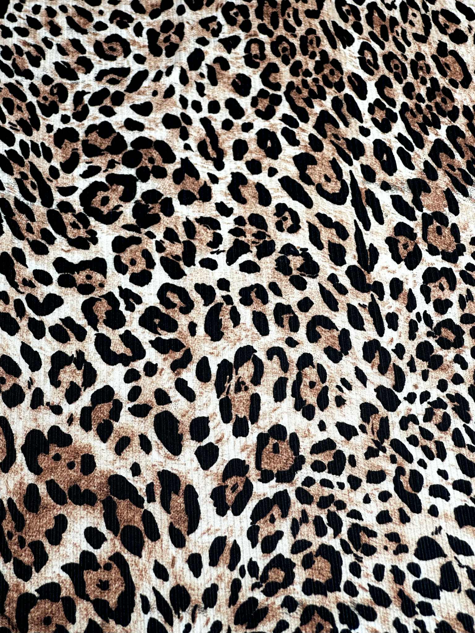 (4x2 YUMMY RIB) BROWN CHEETAH ON IVORY