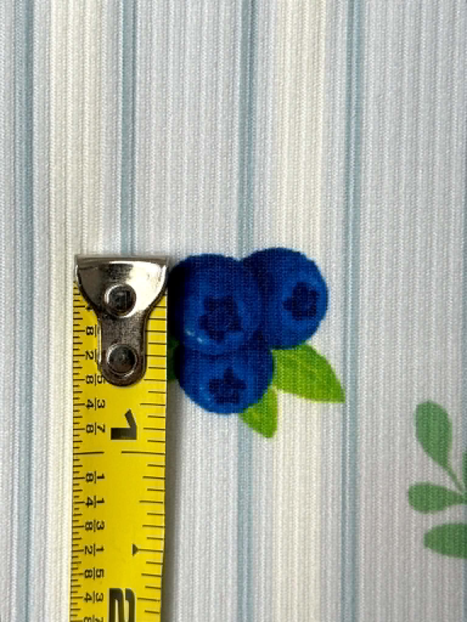 (2X2 YUMMY RIB) BLUE BERRIES, ORANGE SLICES AND WHITE DAISIES ON LIGHT BLUE